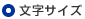 文字サイズ